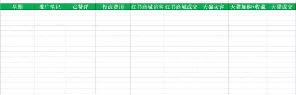 小红书电商投放效果表格